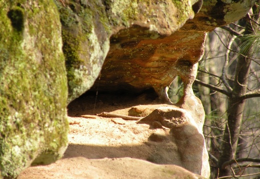 Bughead Rock - Koomer Ridge Trail
